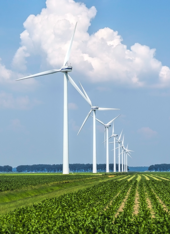 太阳城官网(中国)集团有限公司