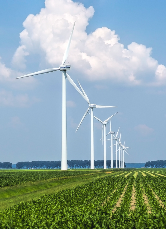 太阳城官网(中国)集团有限公司